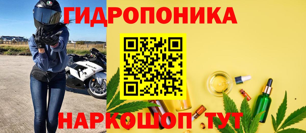 Шишки марихуана тримм  Вход с VPN  Шишки марихуана White Widow  Бошки Шишки VHQ  Якутск  Каннабис THC 21% 